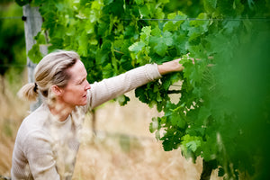 In the Vineyard with Lilian Carter, Oenologist (Australia & New Zealand)